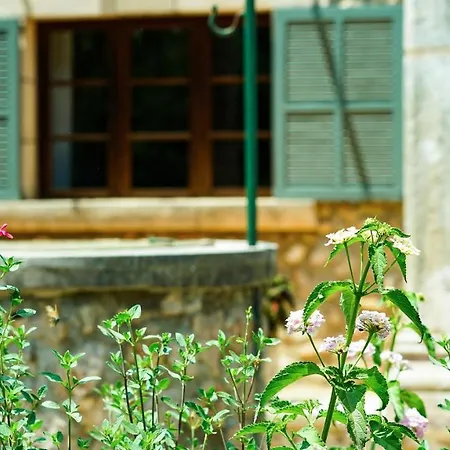 Punxa Holiday home Pollenca