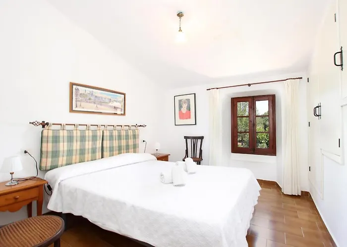 Punxa * פוינסה