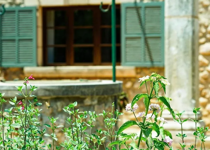 Punxa Dom wakacyjny Pollensa